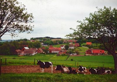 Øllgaards dias
