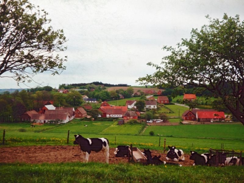Kølsen 1973